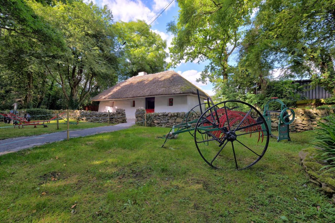Silken Thomas Accommodation Kildare Exteriör bild