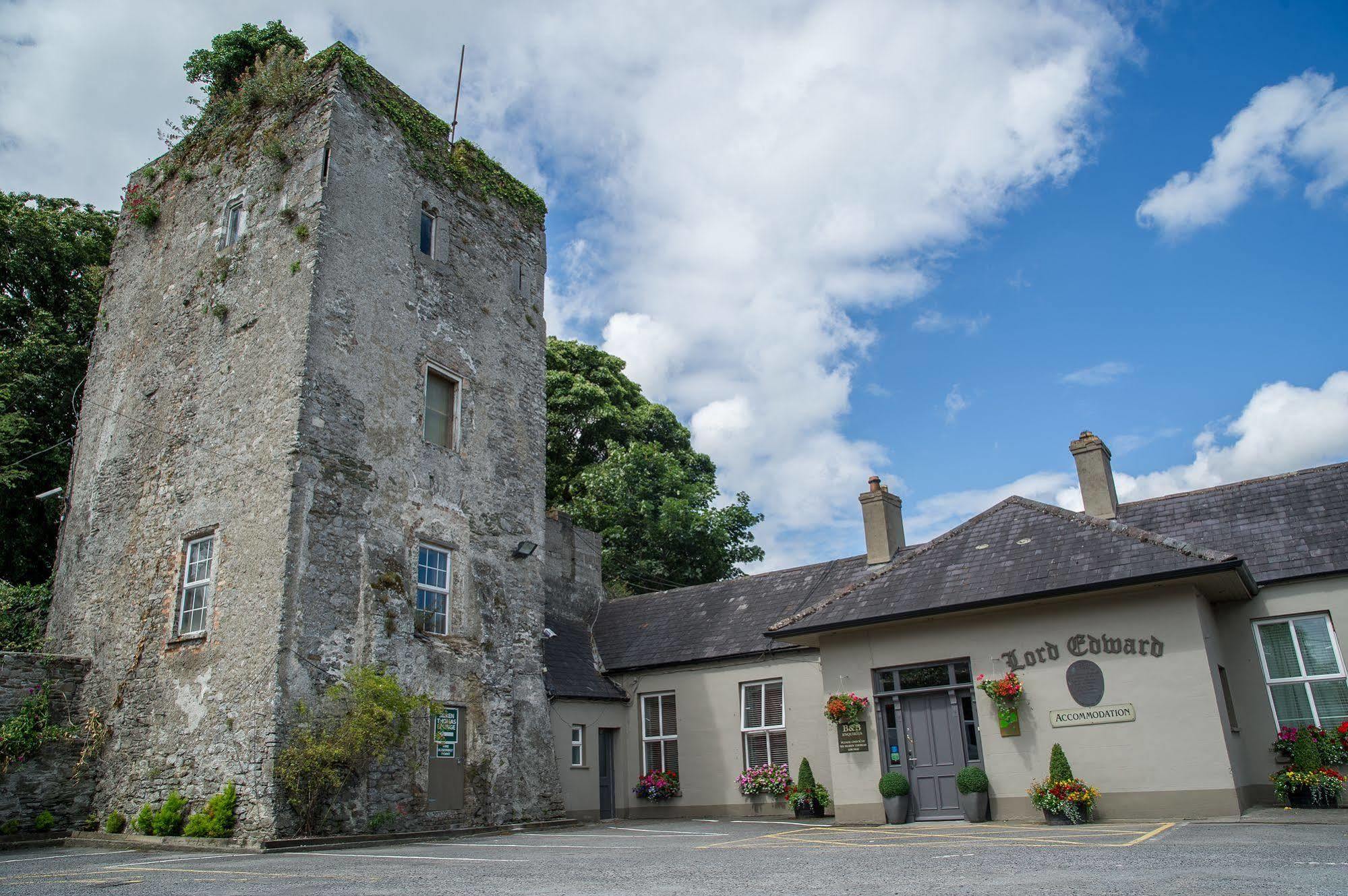 Silken Thomas Accommodation Kildare Exteriör bild